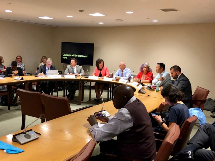 G3ICT JOINT-SIDE EVENT SPEAKERS (L-R): DR. MICHAEL FEMBEK (ZERO PROJECT/ESSL FOUNDATION); DR. CHRISTOPHER LEE (IAAP/G3ICT); MS. FRANCES WEST (FRANCESWESTCO); AMBASSADOR LUIS GALLEGOS (PERMANENT REPRESENTATIVE OF ECUADOR AT THE UNITED NATIONS IN NEW YORK); MS. DEBRA RUH (RUH GLOBAL IMPACT/THE VALUABLE 500); MR. DANIEL ELLERMAN (ACCENTURE); MR. SHANE KANADY (SOURCEAMERICA)